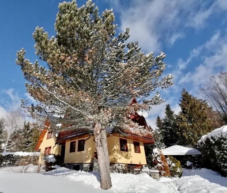 Chata pod Gerlachom Štôla Exteriér fotografie